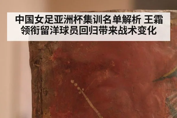 中国女足亚洲杯集训名单解析 王霜领衔留洋球员回归带来战术变化